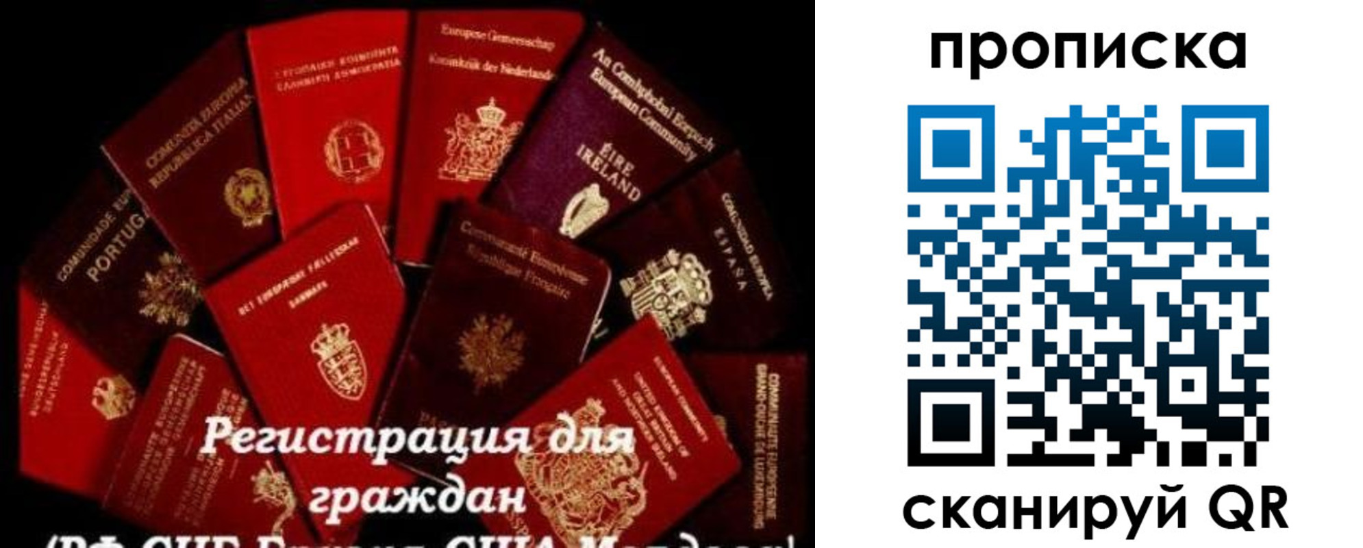 прописка в квартире в Красногорске